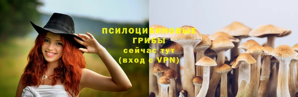 кокс Карпинск